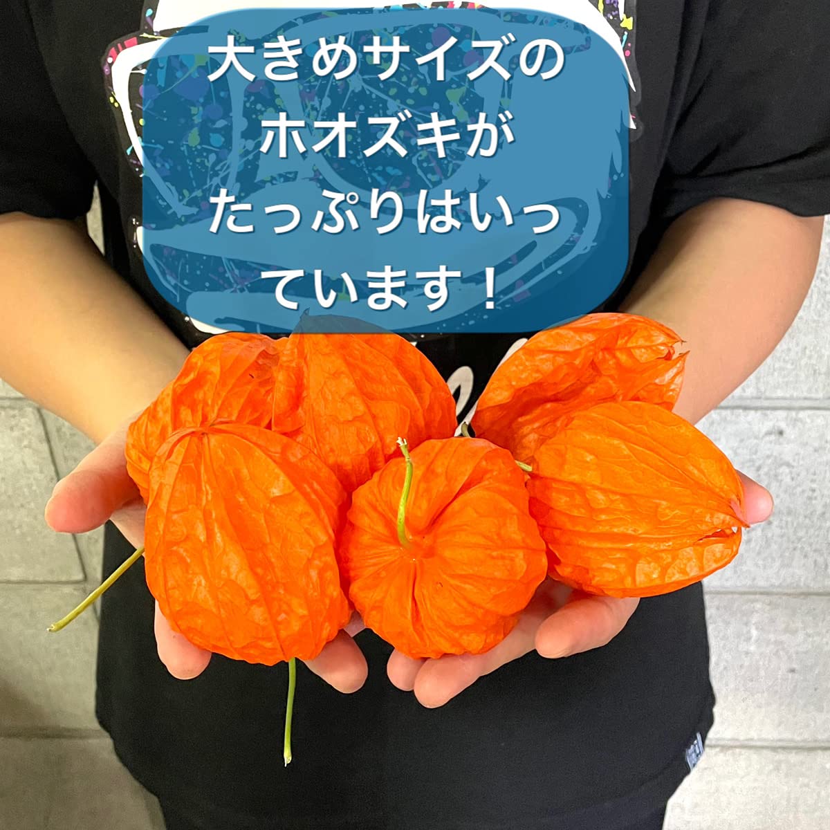 Amazon | ほおずき ホウズキ 実ドライ ハロウィン装飾 新盆 お盆